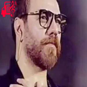 دانلود آهنگ آهنگ چه حالی داره چه حالی داره از گرشا رضایی + متن ترانه