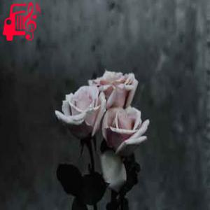 دانلود آهنگ آهنگ حتی خونه کاه‌گلی رو قلعه کنی از با صدای مرد + متن ترانه