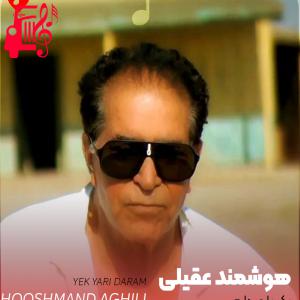 دانلود آهنگ آهنگ یک یاری دارم از هوشمند عقیلی + متن ترانه