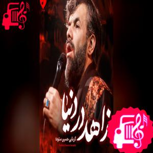 کاور آهنگ صدای قلب من هر ضربان ای جان جهان از حسین ستوده اثر حسین ستوده