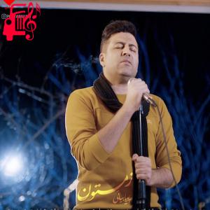کاور آهنگ زمستون از پویا بیاتی اثر پویا بیاتی