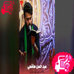 کاور آهنگ مگه زیر زمین پنهان نبودی از سید حسن هاشمی اثر سید حسن هاشمی