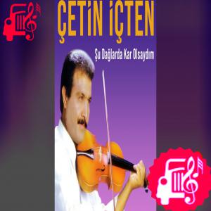 کاور آهنگ Şu Dağlarda Kar Olsaydım از Çetin İçten اثر Çetin İçten